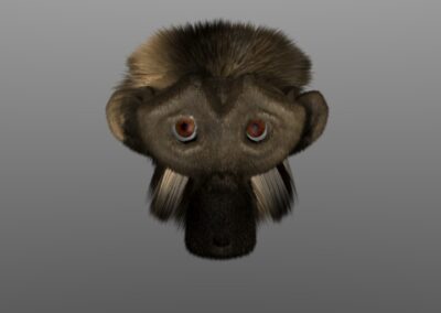 3D Äffchen von vorn